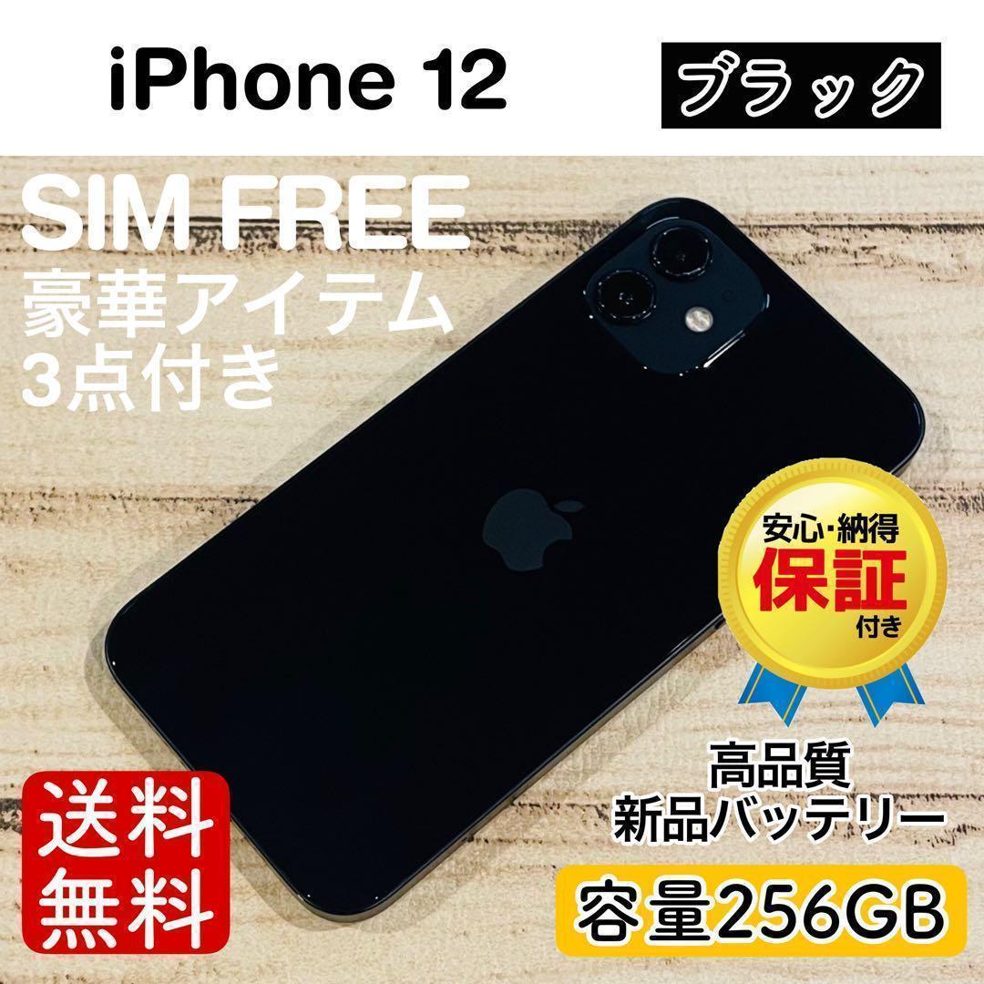 【美品】iPhone12 ブラック 256GB SIMフリー 100%