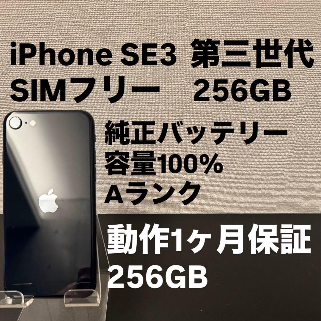 極美品 256GB Apple iPhone SE3 第三世代 日本版