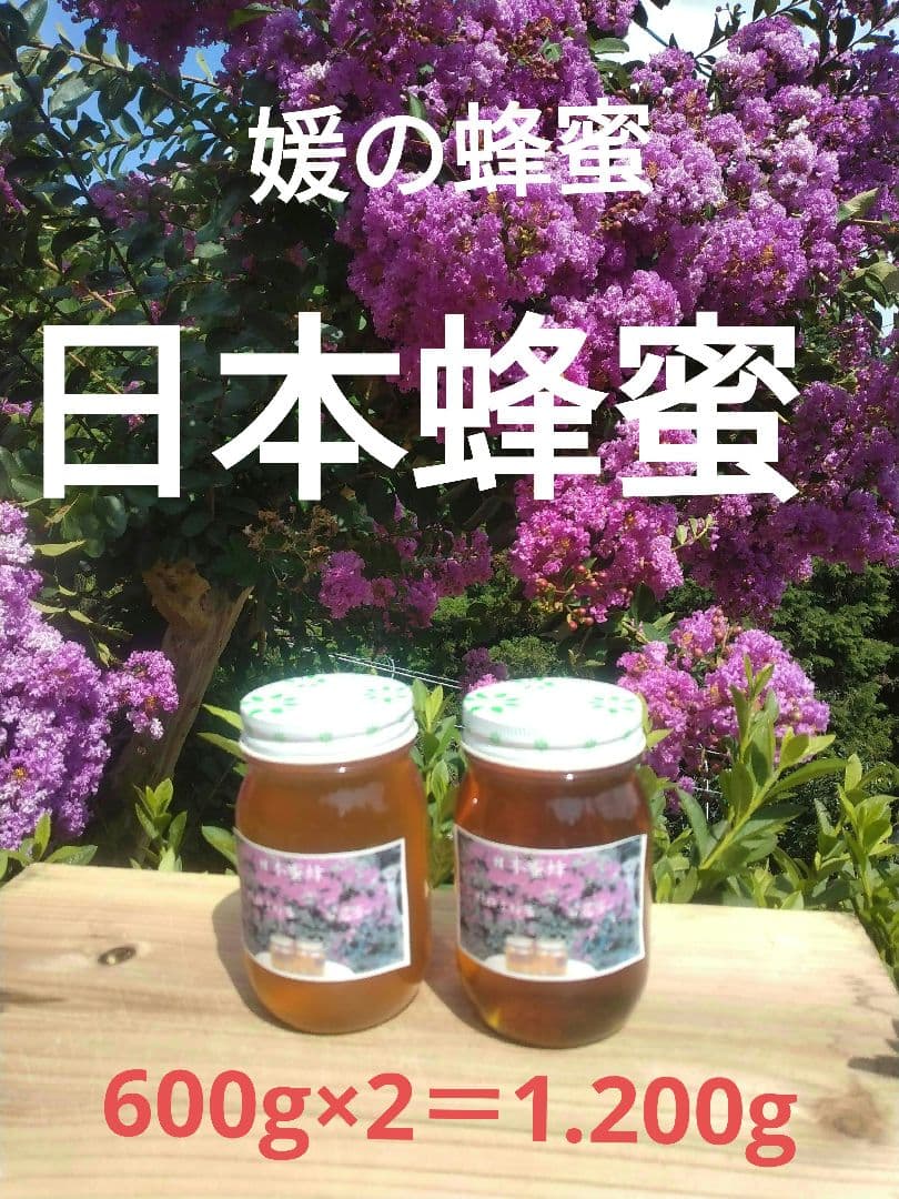 国産純粋日本蜂蜜、百花蜜、愛媛県産、600g×2本