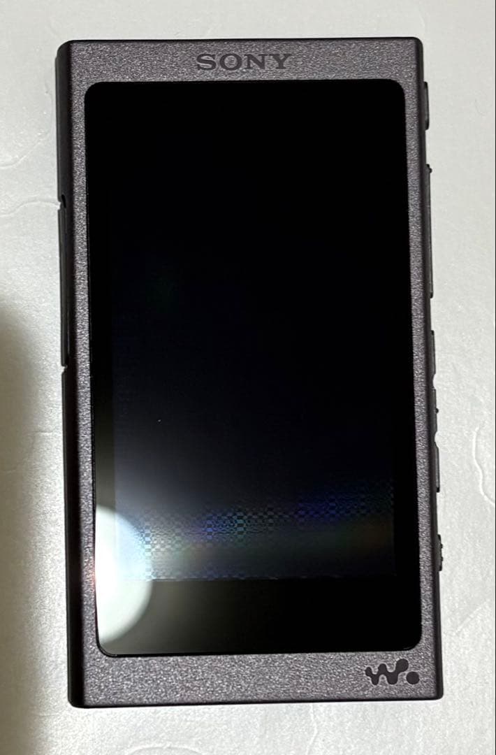 ポータブルプレーヤー SONY WALKMAN NW-A45 16GB