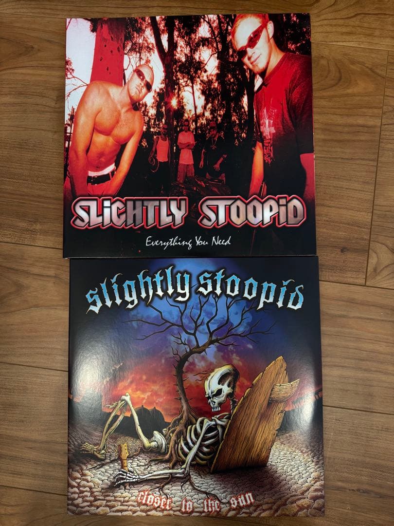 Slightly Stoopid Everything You Needレコード