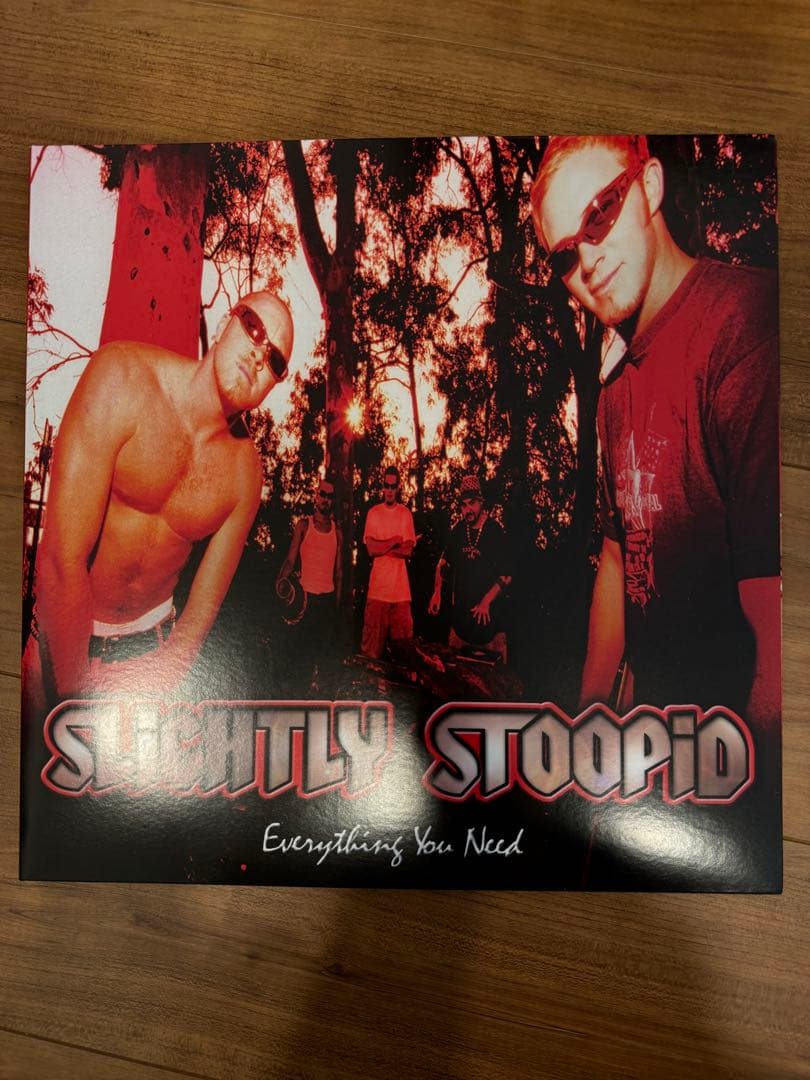 Slightly Stoopid Everything You Needレコード