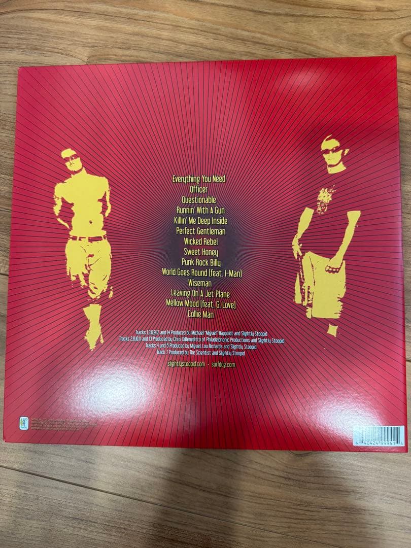 Slightly Stoopid Everything You Needレコード