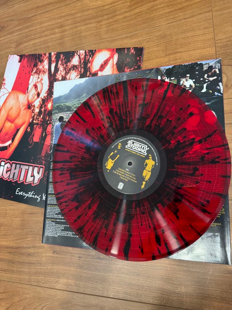 Slightly Stoopid Everything You Needレコード