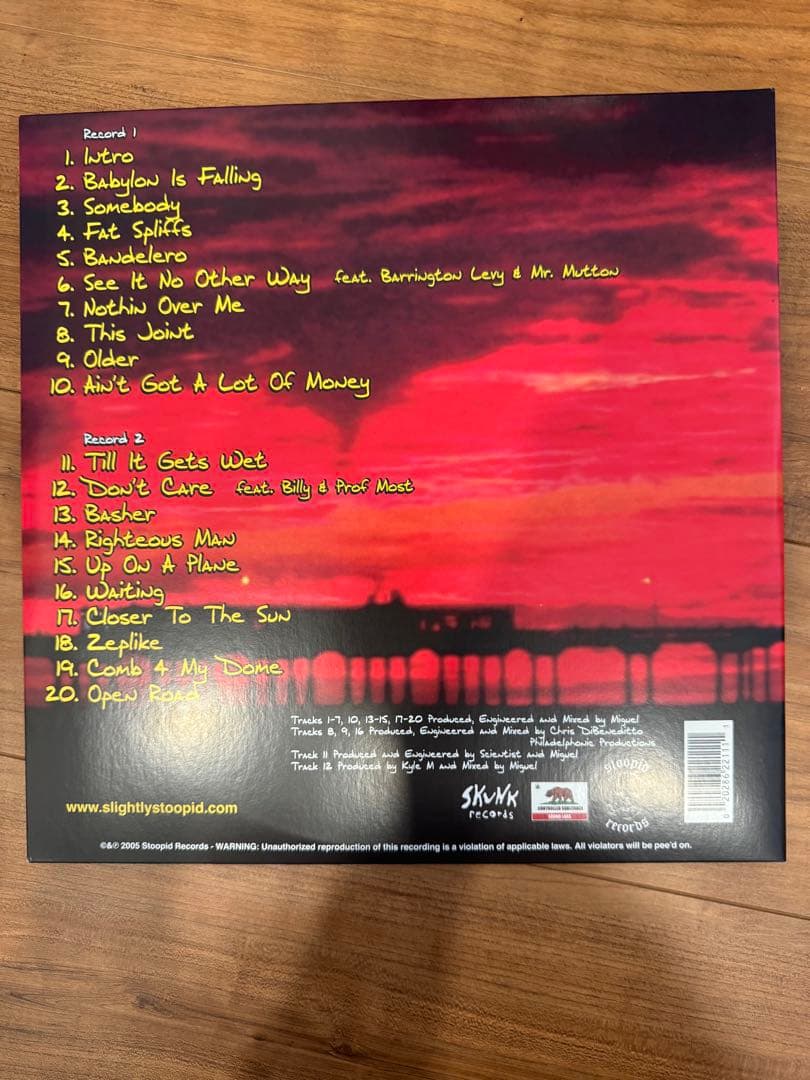 Slightly Stoopid Everything You Needレコード