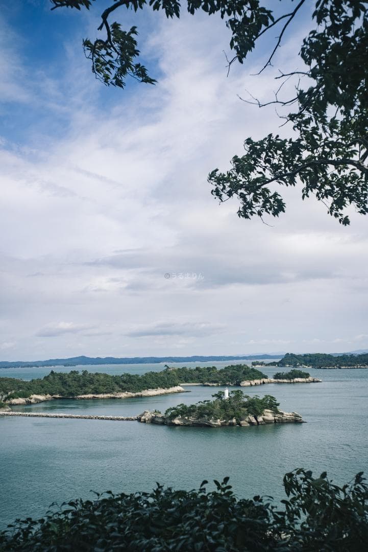 OH済！広角の鉄板 Leica Summaron 35mm オールドレンズ