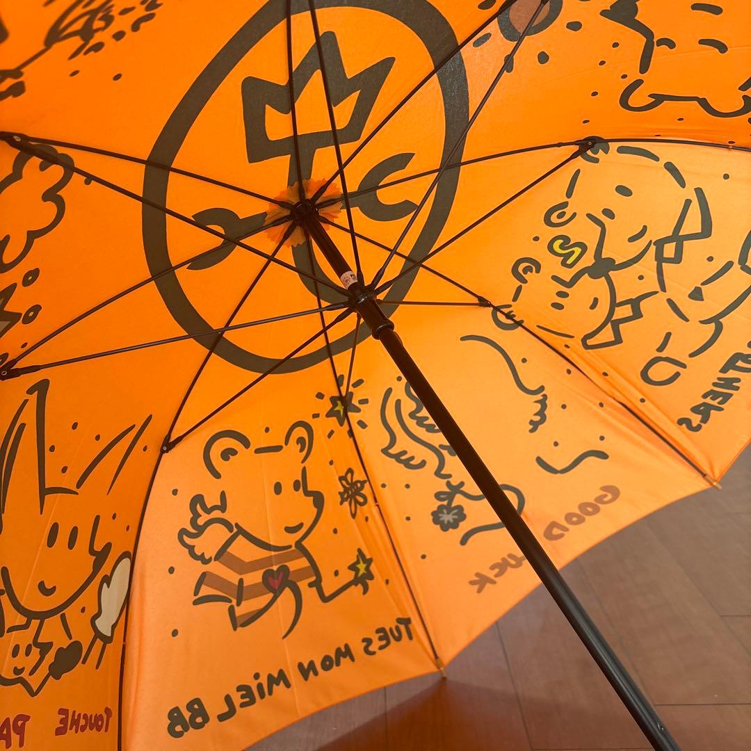 タグあり「カステル・バジャック」の長傘