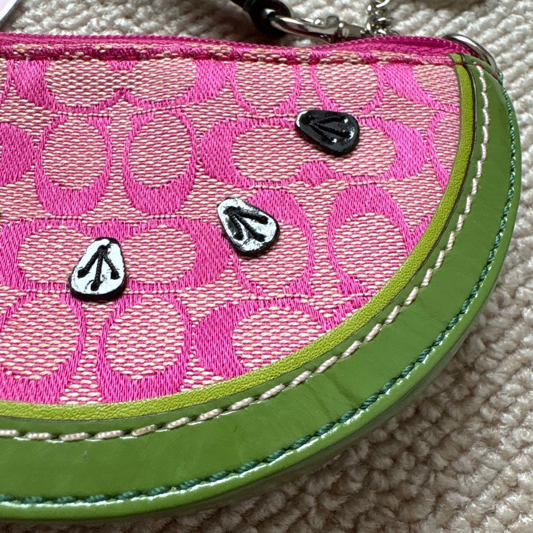 d*4様 coach スイカ ケース ミニバック