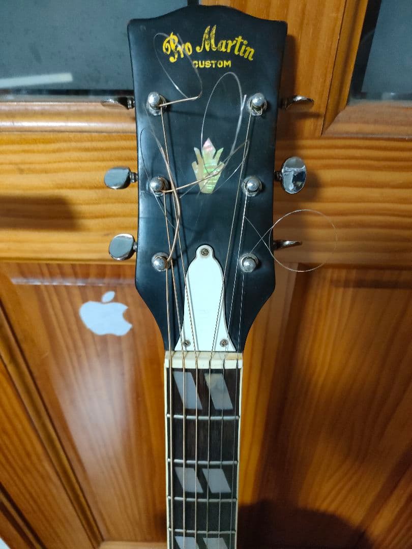 Pro Martin アコースティックギター（ぽん太さま）