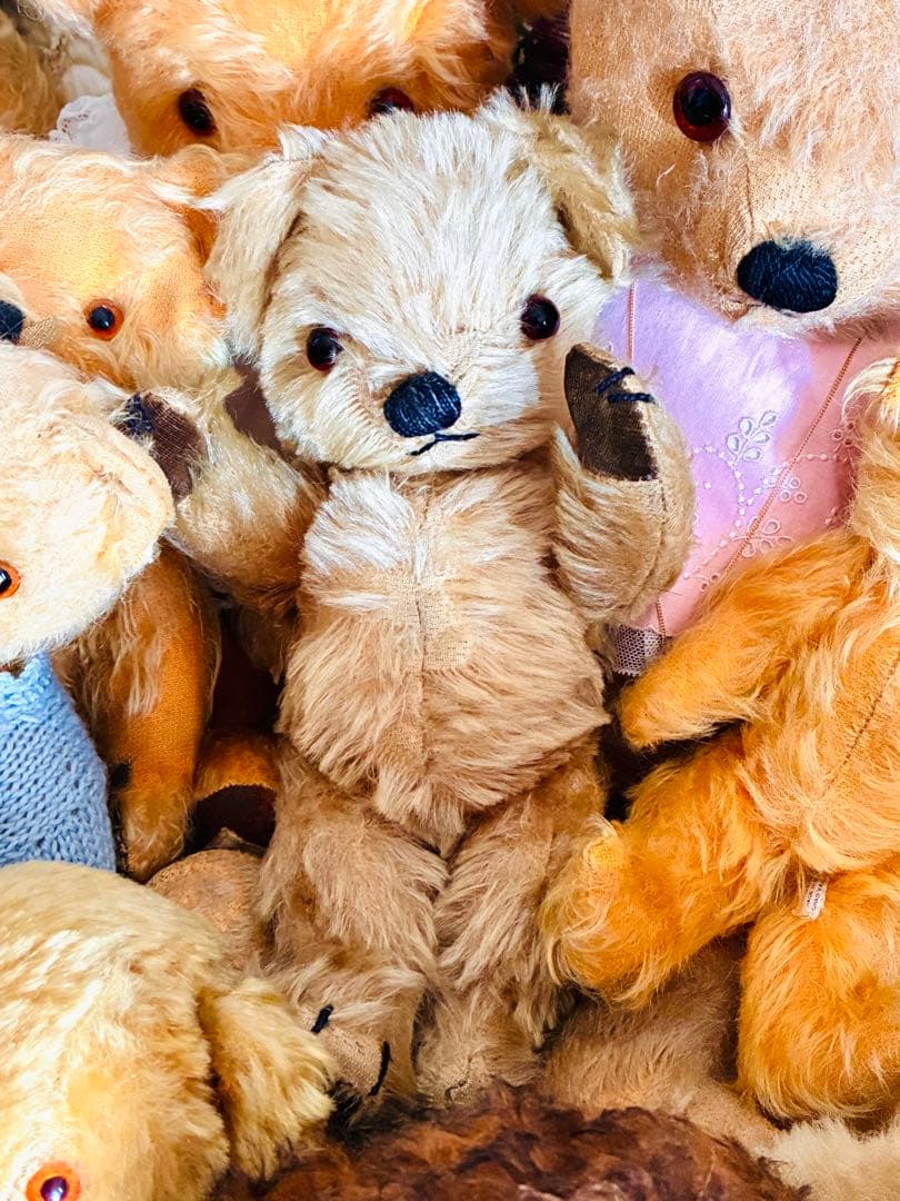 レア！ チャドバレー アンティークベア 小さいサイズ グラスアイ