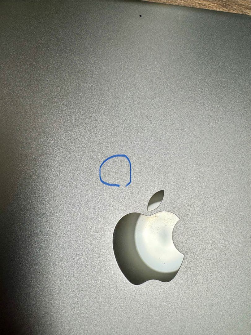 ぱぴこ 【付属品未使用】Apple iPad mini（第5世代）