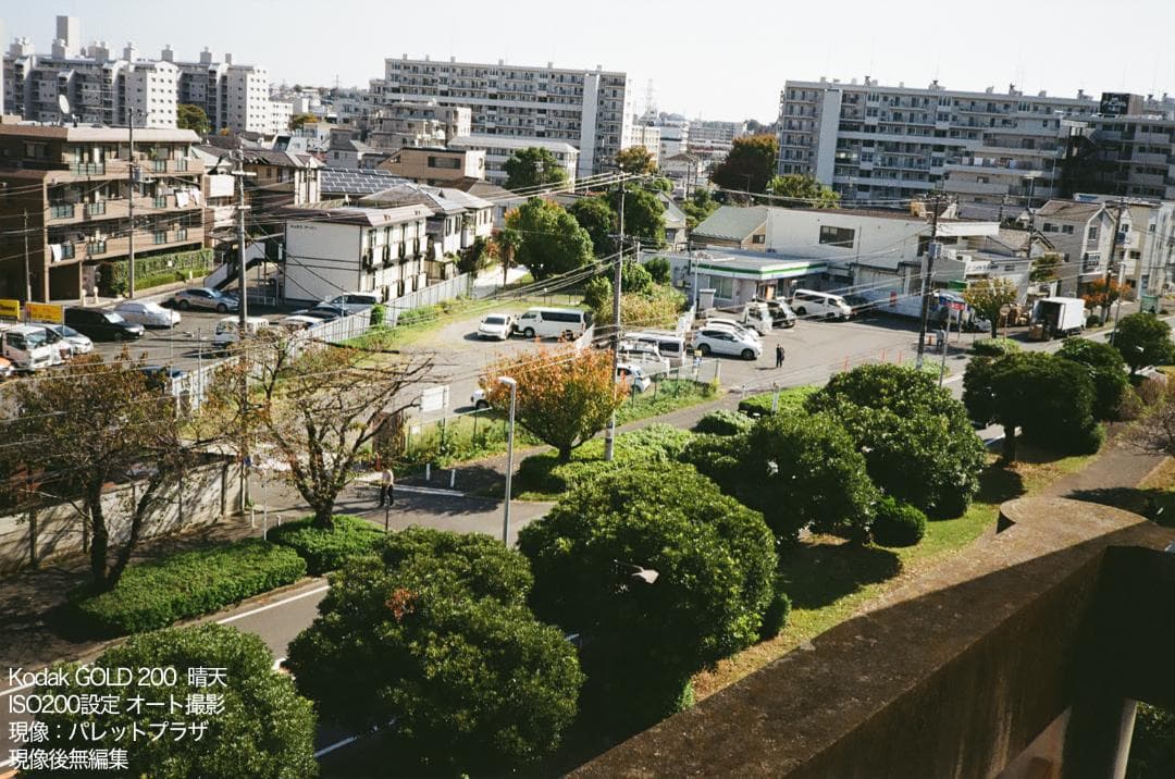 （kiki）Konica C35 flash matic バーガンディ