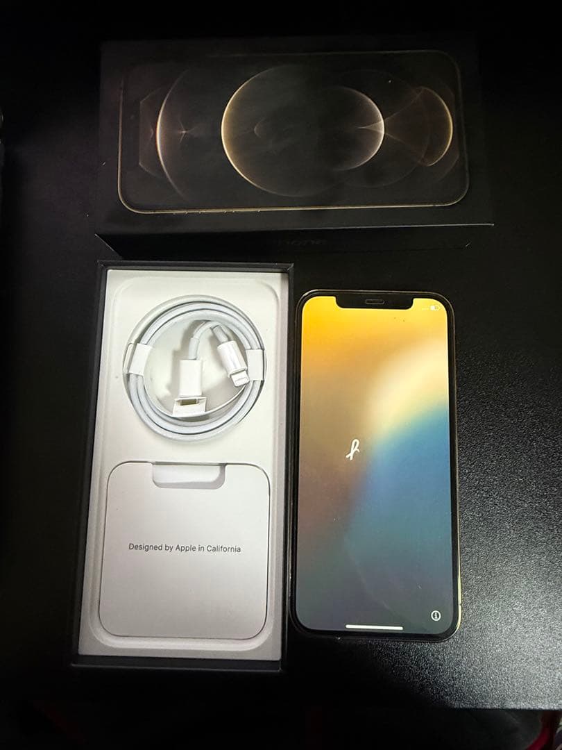 Apple iPhone 12 proゴールド 本体 ジャンク品