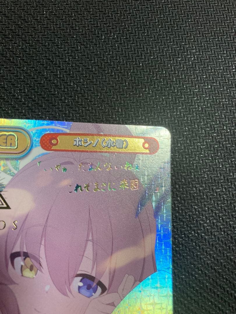 K*ぎ様 ホシノ(水着) PP ブルーアーカイブ　Reバース ブルアカ