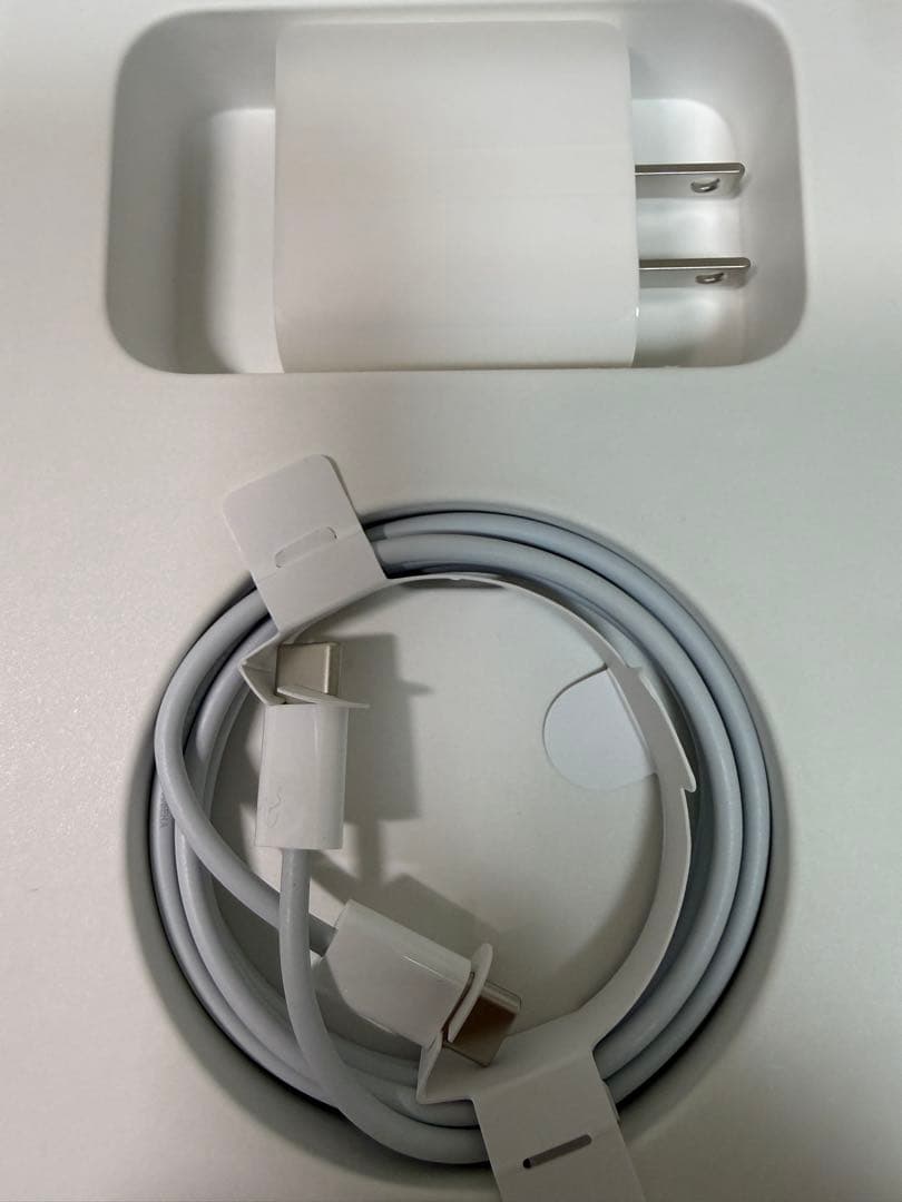 ipad mini 6 cellular 64GB バッテリー93%