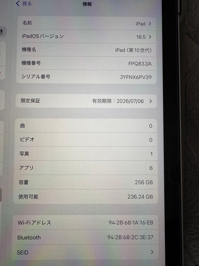 え*こ様 iPad 第10世代 WiFi 256GB シルバー