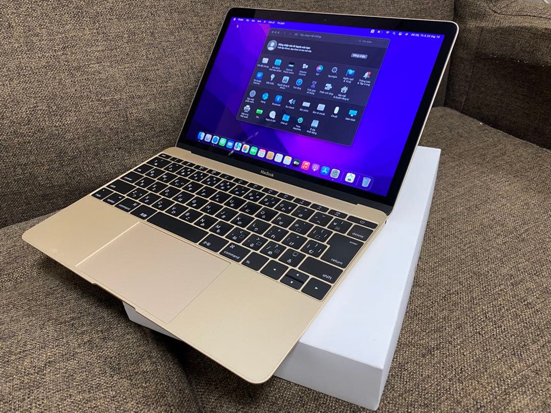 Apple MacBook ゴールド8GB　retina オフィス永続版