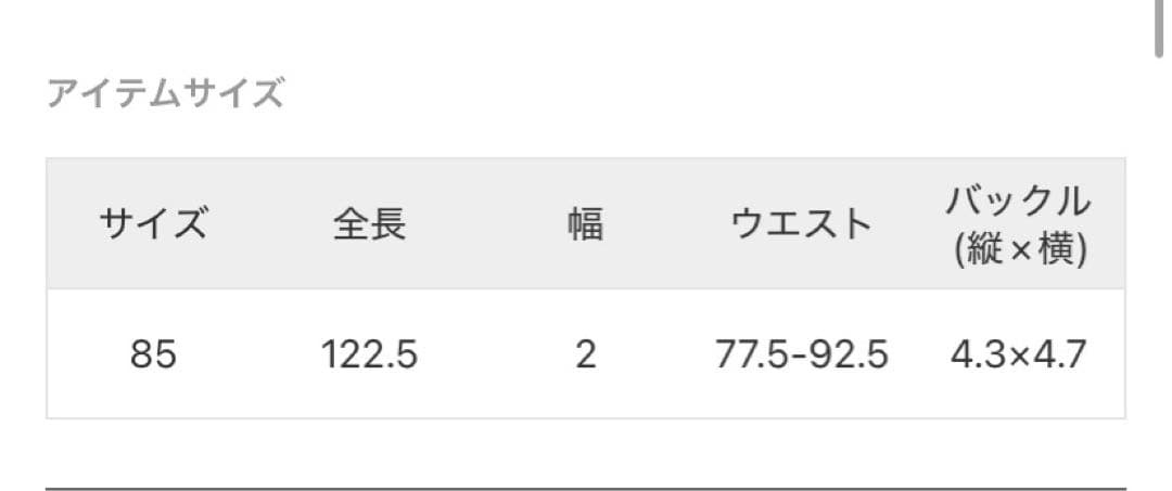 Deuxieme Classe【PUNTOVITA】CONCHO BELT