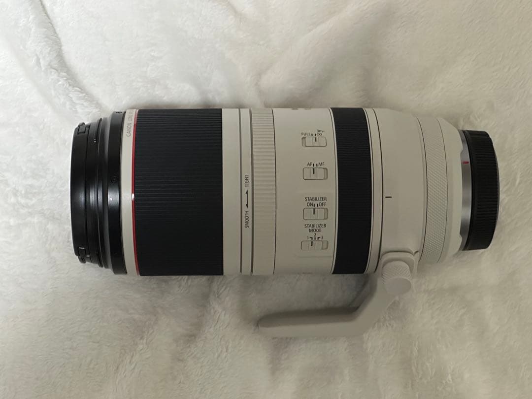 canon RF100-500 mm F4.5-7.1 L IS USMレンズ