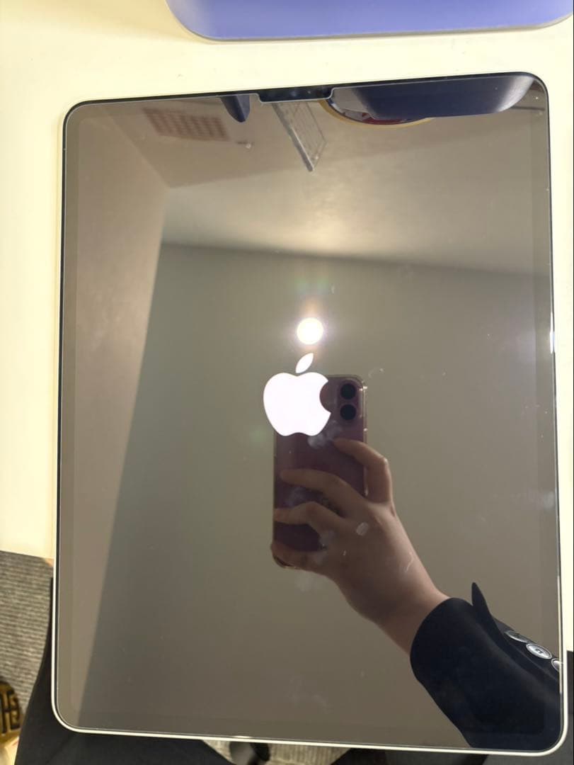 Apple iPad Pro本体 シルバー 第5世代 256gb