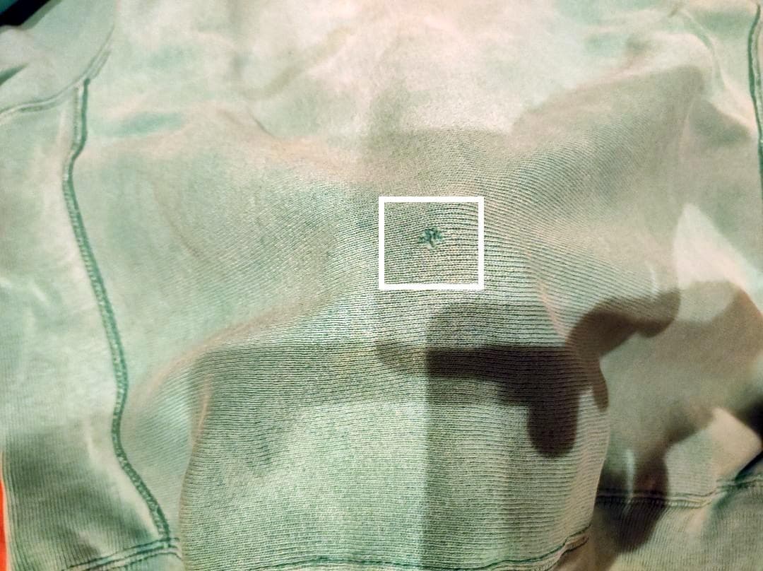 s*a様 Champion Reverse Weave M 青目 中期トリコタグ