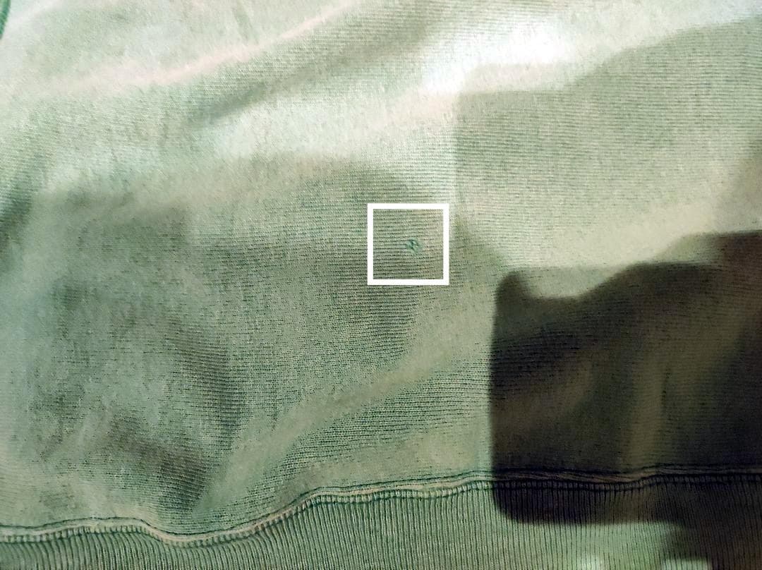 s*a様 Champion Reverse Weave M 青目 中期トリコタグ