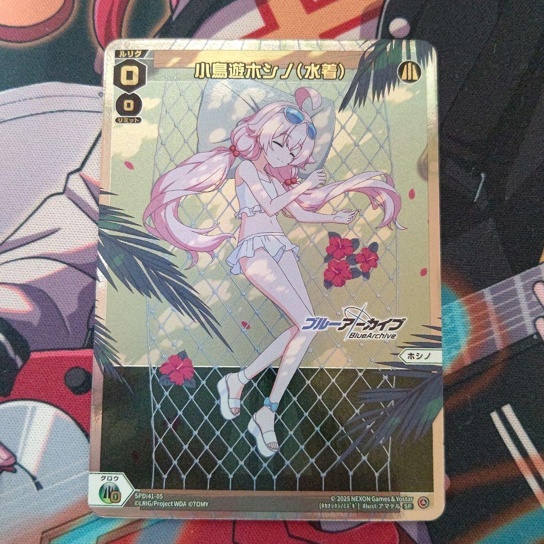 SPDi41-05 小鳥遊ホシノ(水着)