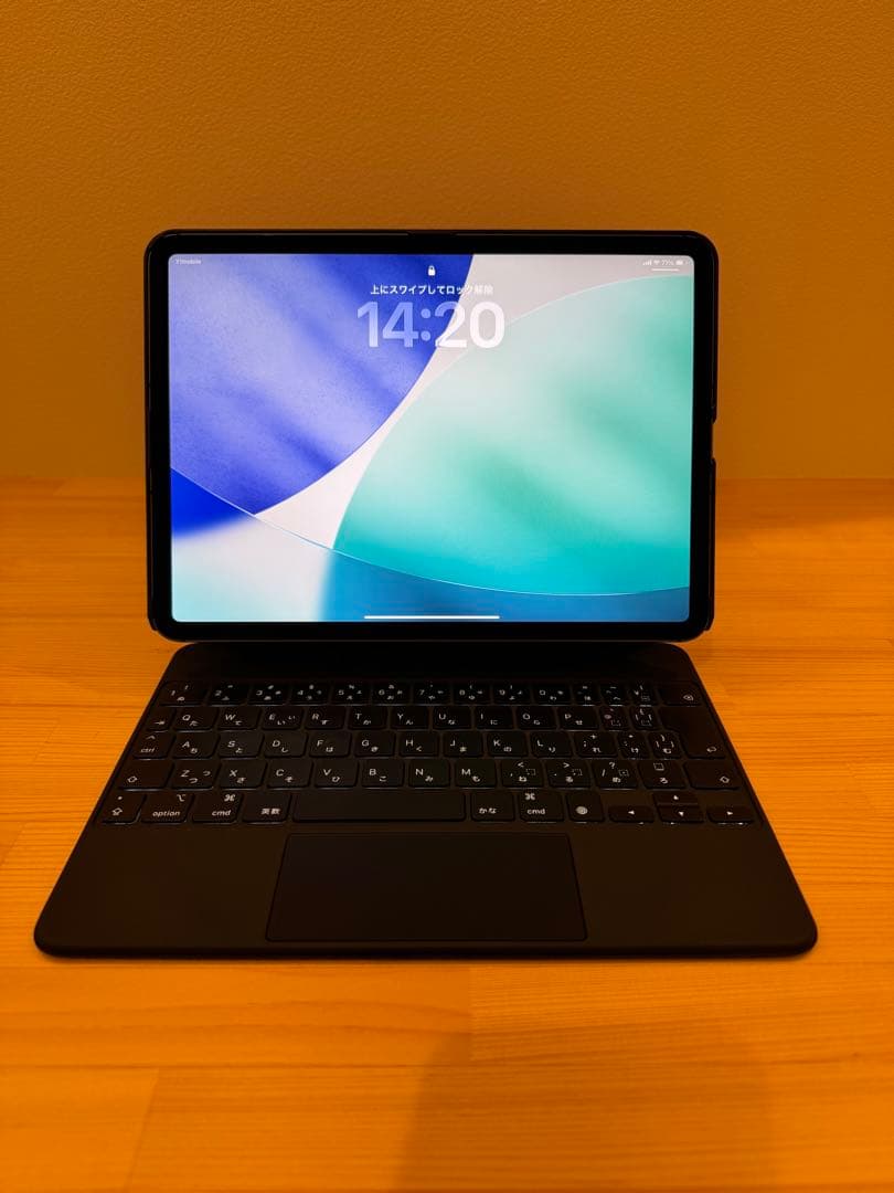 美品 iPadPro11インチ Wi-Fi+Cellular256GB 第3世代