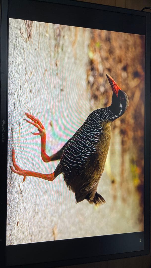 【ゲーミングモニター】GigaCrysta 144Hz 【中古】