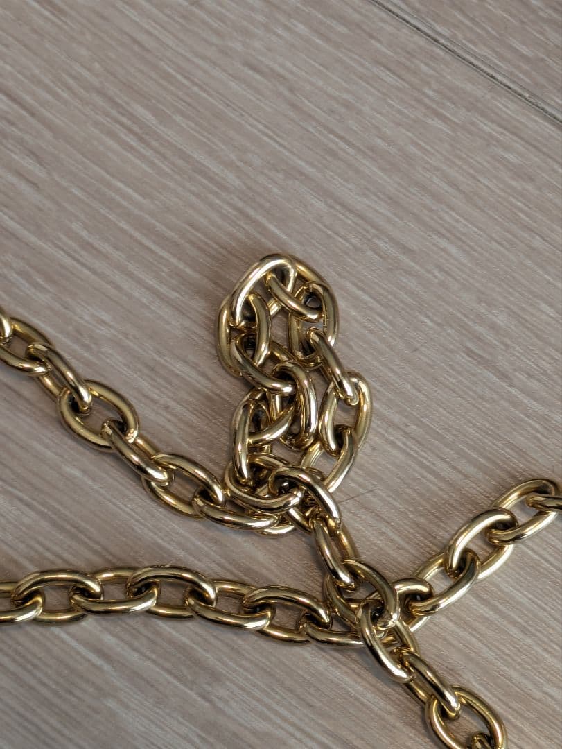 LOUIS VUITTON リトランク iPhone14Pro アイフォンケース