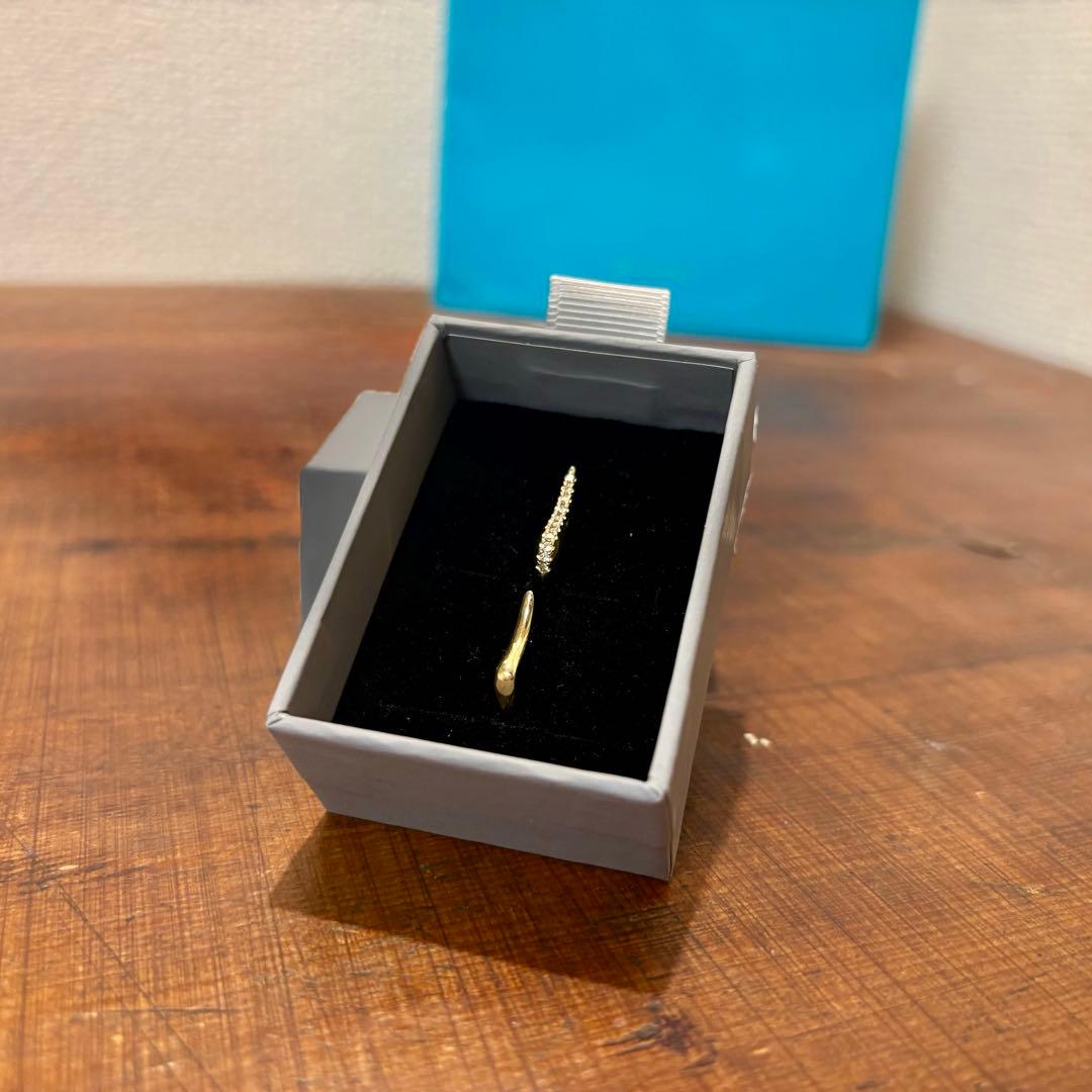 Hirotaka (片耳用) CYGNUS ダイヤモンド ピアス