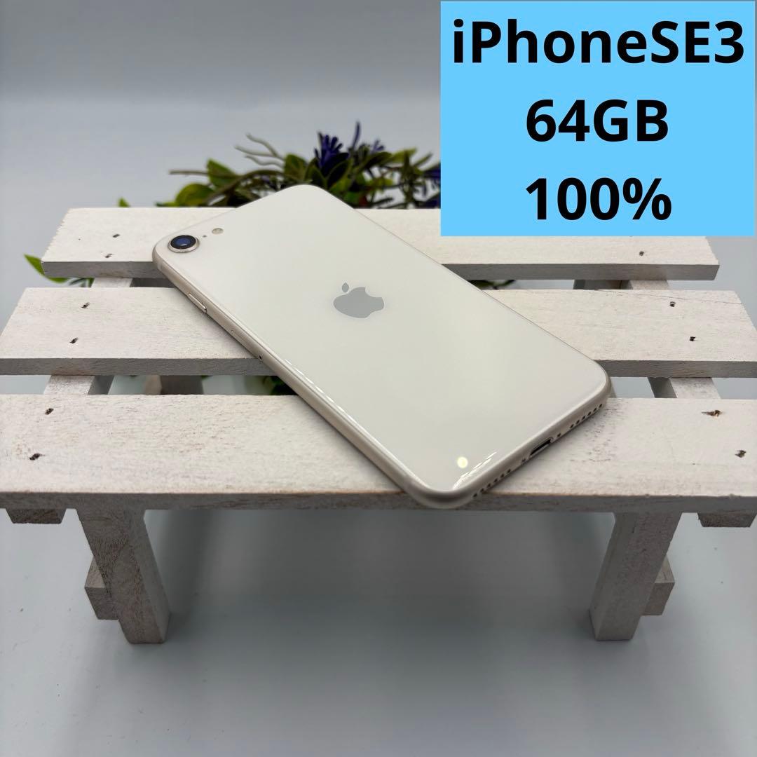 【美品】iPhone SE第3世代 64GB スターライト 5