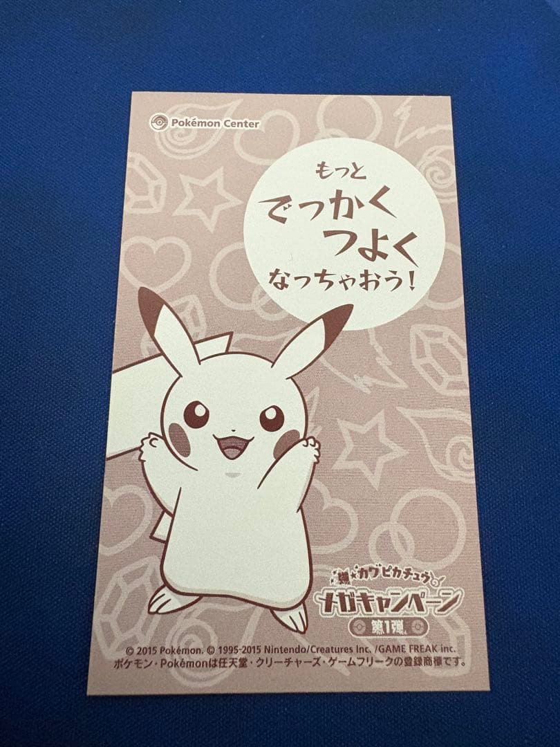 メガキャンペーンポンチョを着たピカチュウリザードン XYポケモン名刺カードポケカ