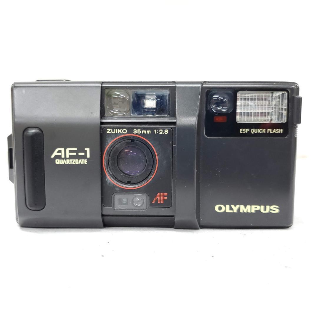 【動作確認済】 Olympus AF-1 F0116-333-10v p