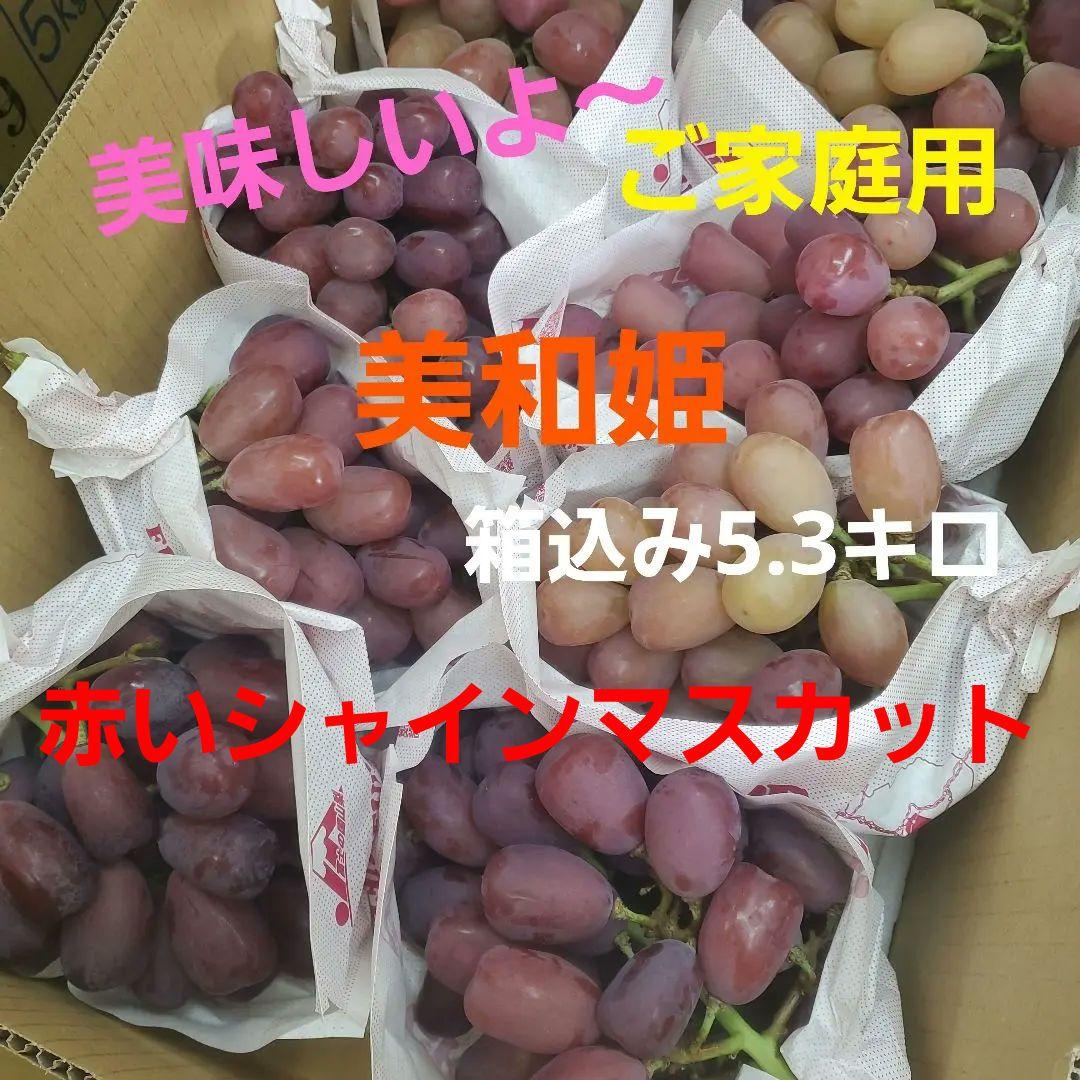 1⃣ 山梨県産 美和姫 ８房入り 箱込み5.3キロ