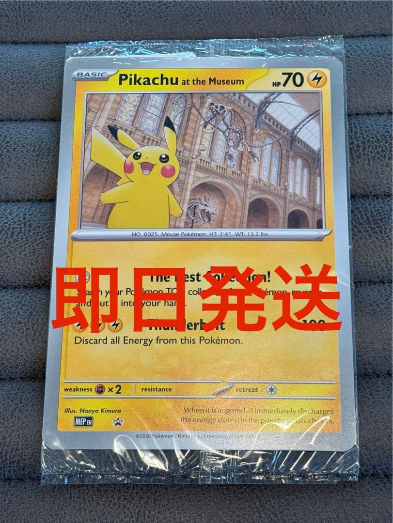ピカチュウ Pikachu at the Museum プロモ promo