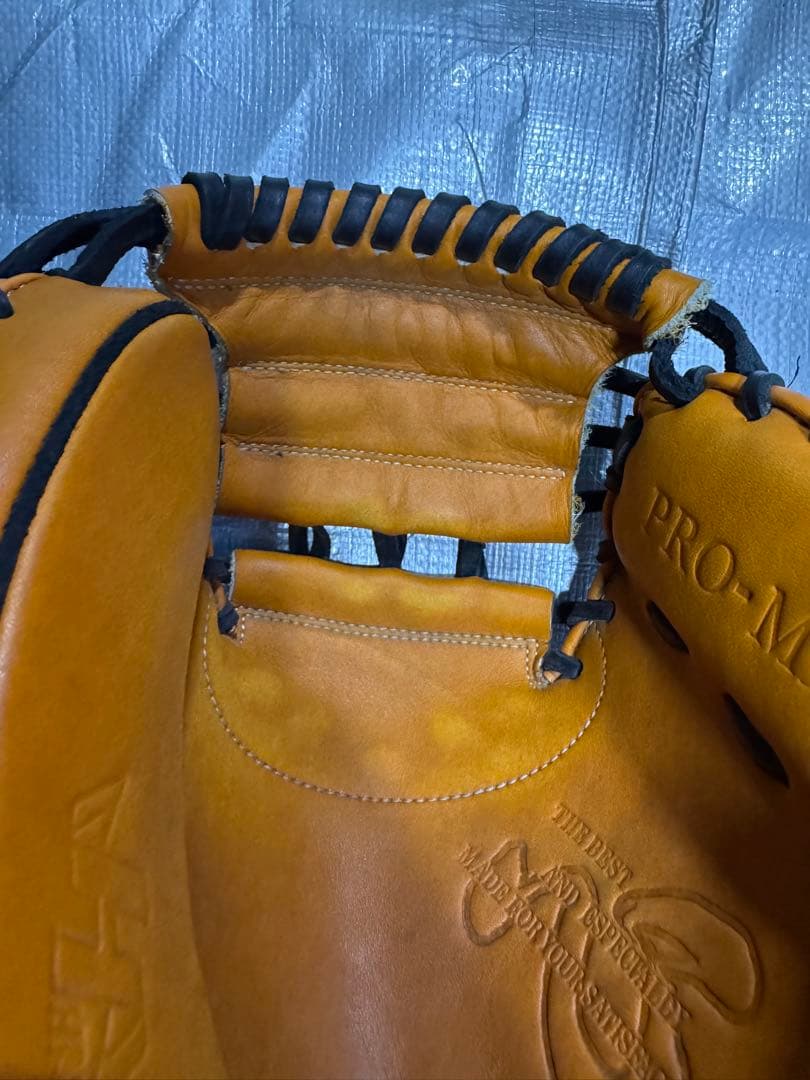 年内のみ⭐️限定カラー　ハタケヤマ軟式キャッチャーミット中国カラー