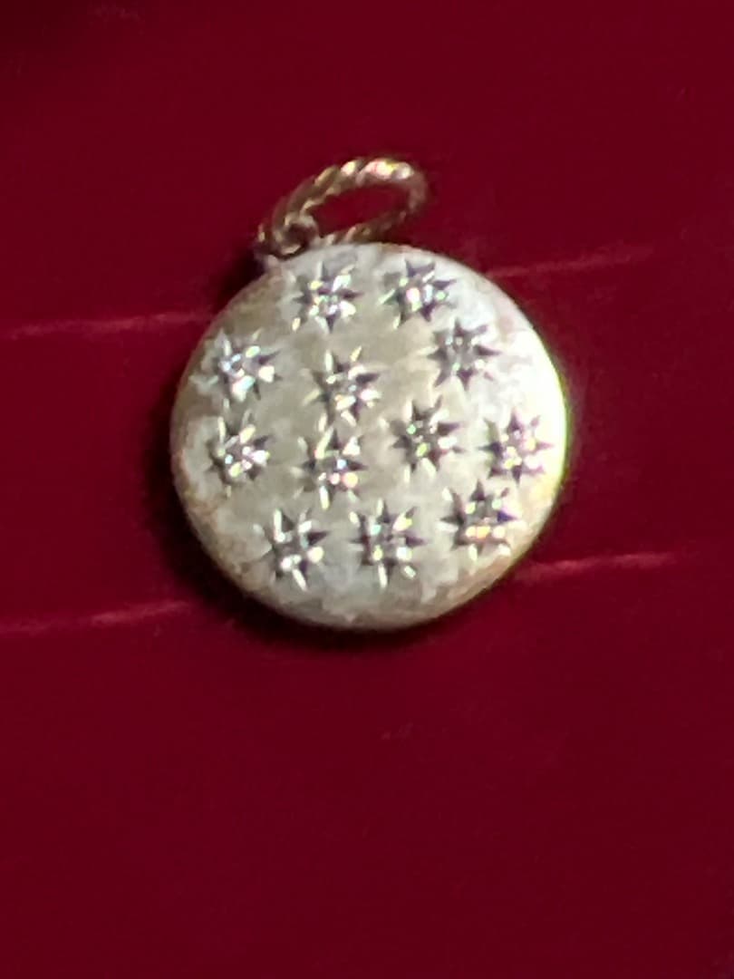 アガット　ペンダントトップ　チャーム　シルバー　Ｋ10 ダイヤ0.06カラット