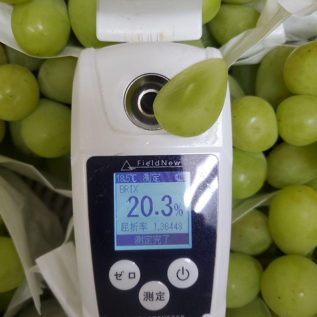 5️⃣ 山梨県産 シャインマスカット１０房 箱込み 5.3キロ