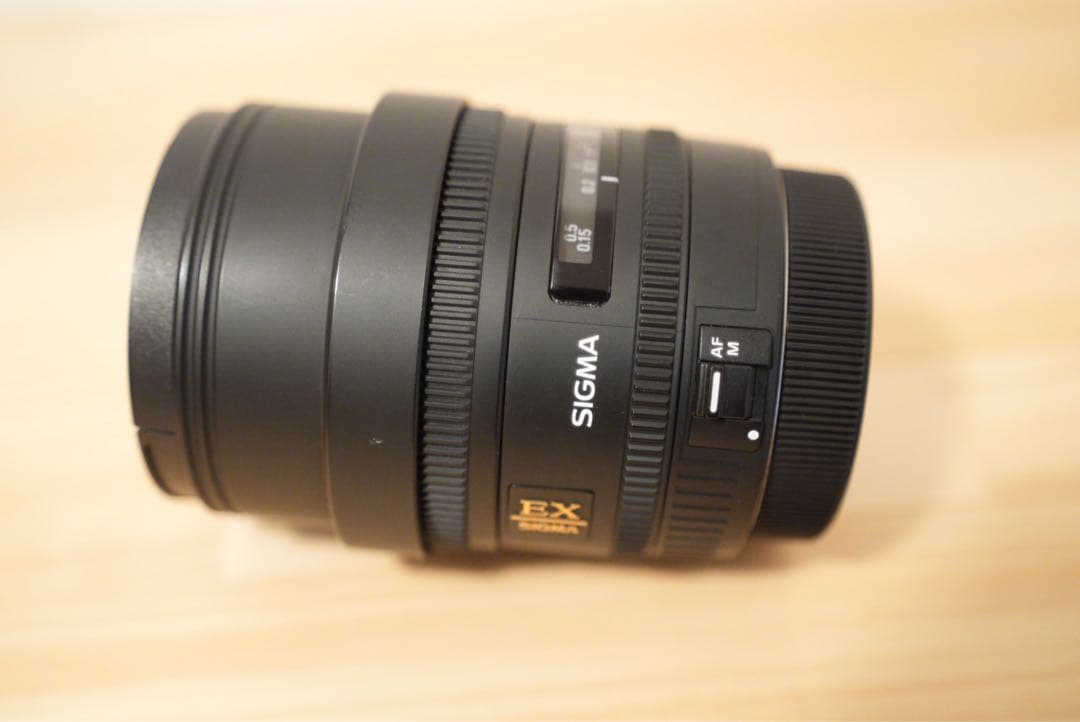 SIGMA 10mm 魚眼レンズ