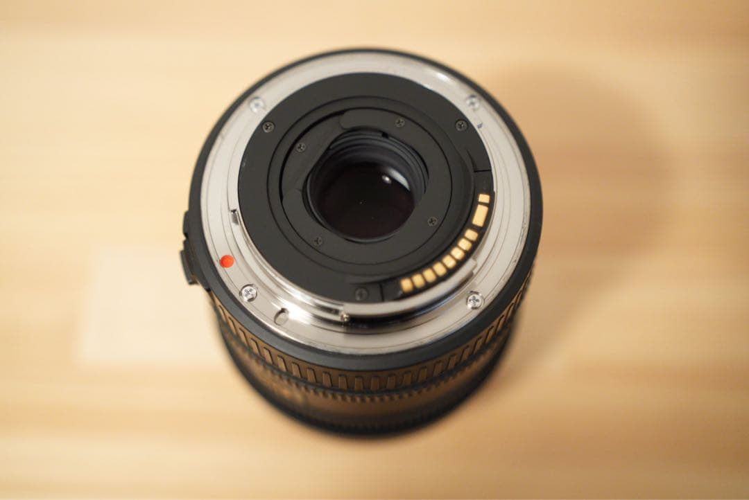 SIGMA 10mm 魚眼レンズ