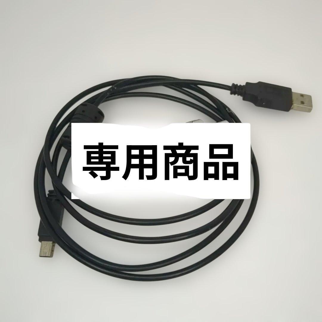 比較的美品 NW-E405 SONY 1GB ケーブル付 ウォークマン