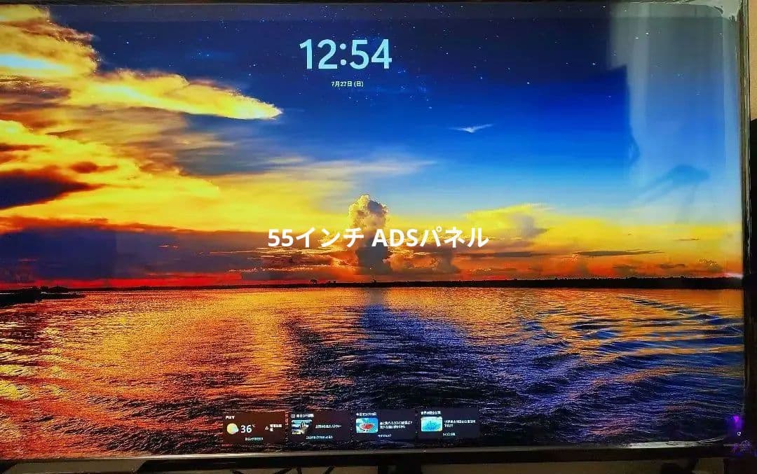 アイ・オー・データ　55インチ4Ｋモニタ　　EX-LD4K552DB
