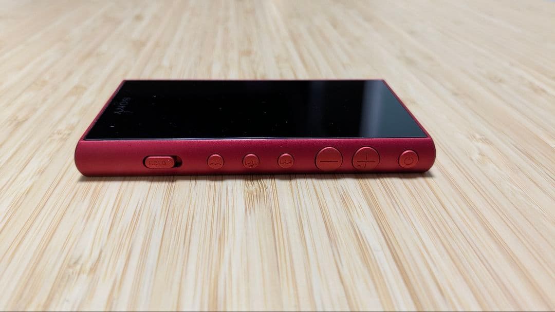 SONY デジタルオーディオプレーヤー NW-A100シリーズ（NW-A106）