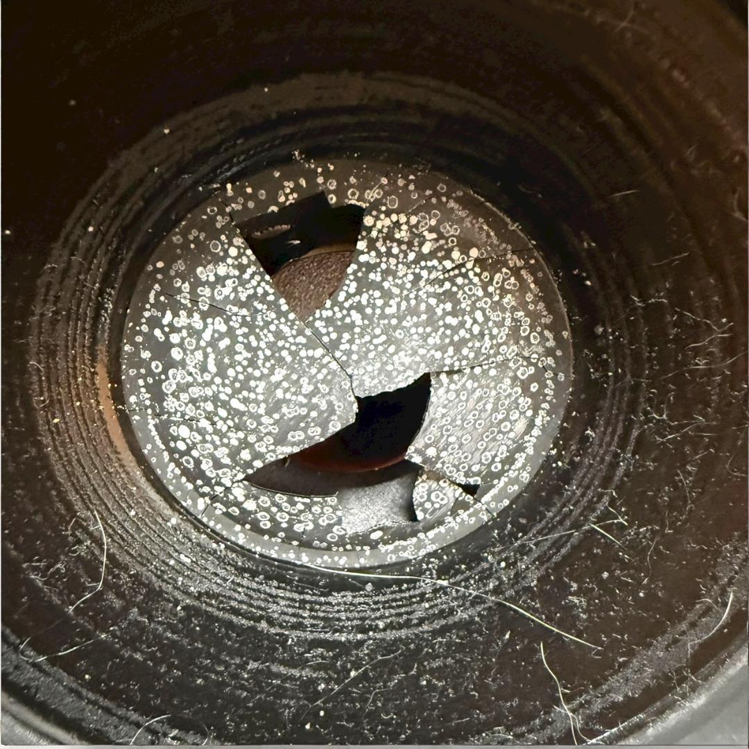 希少品 FOCAL JMlab TANTAL505 スピーカーペア シリアル連番