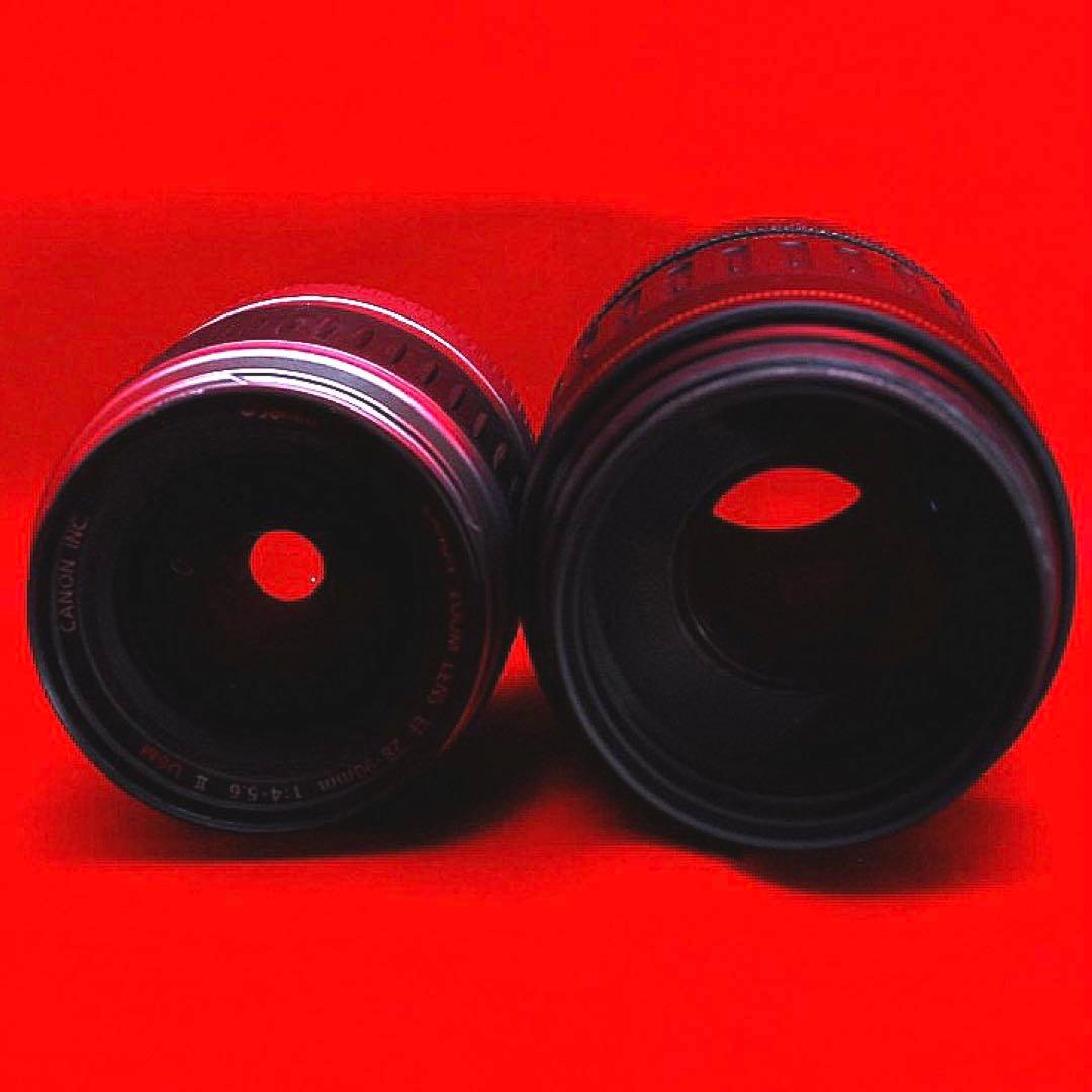 ⭐️バッテリー心配なし⭐️Canon EOS 6D ダブルレンズ　スマホ転送可