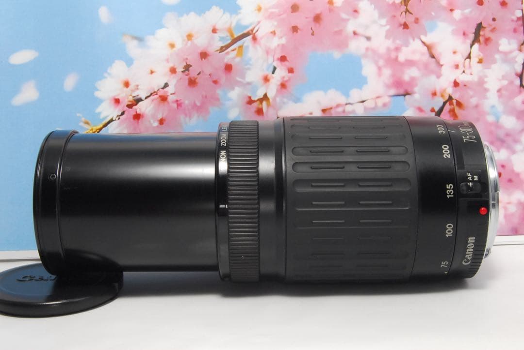 超望遠レンズ⭐️Canon EF 75-300mm 運動会 お遊戯会 にオススメ