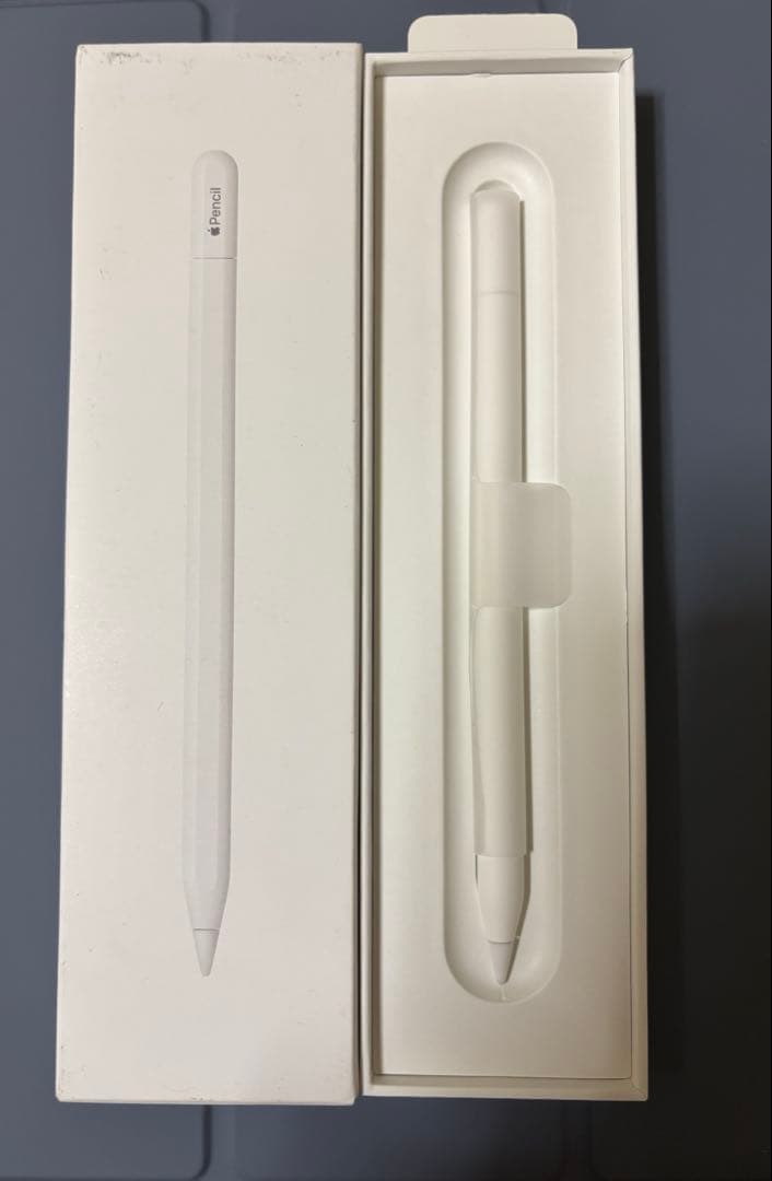 Apple Pencil USB-Cタイプ 1本　ケーブルつき