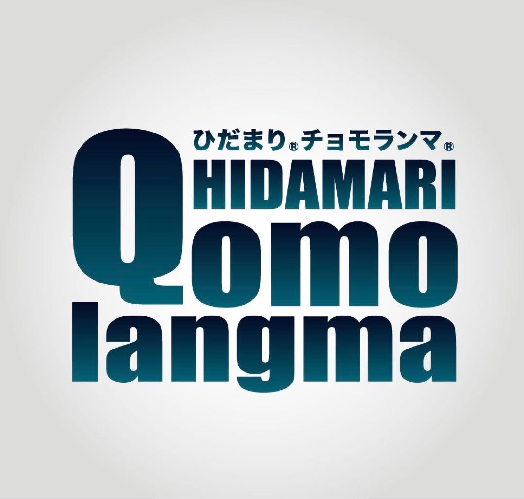 ひだまり肌着 チョモランマ 婦人 タイツM 箱なし特価 QMS861