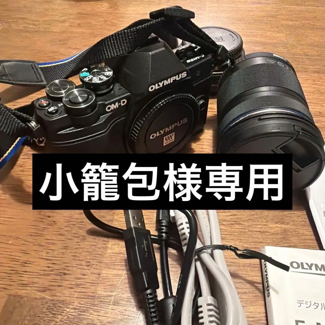 【極美品】OLYMPUS OM-D EM10 MarkⅢ